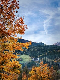 autumn in switzerland - photograph on 500px