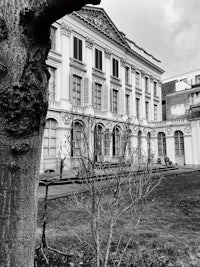 a black and white photo of a building in front of a tree