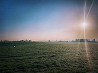 the sun is shining over a field of grass