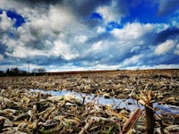 a field with a puddle under a cloudy sky